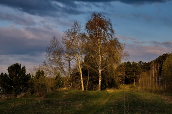 Spring evening. / ***