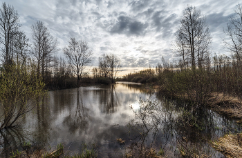 Overcast morning. / ***