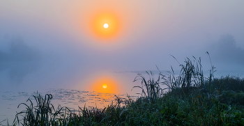 Good morning. / ***