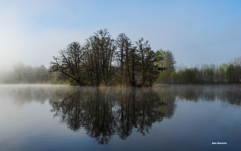 Morning Dawn / ***