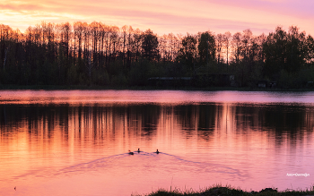 Before sunrise / ***