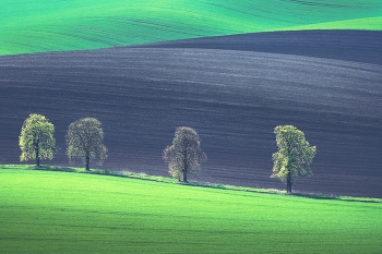 Moravia / ***