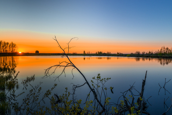 no words... or any, if you need some ))) / ***