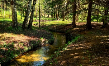 Forest River / ***