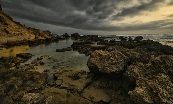 Maritime zarisovochka / ***