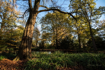 The park ... / ***