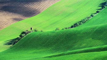 Moravia / ***