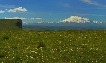 Caucasus / ***