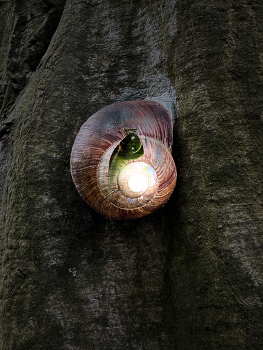 The starliner snail / Lift off!