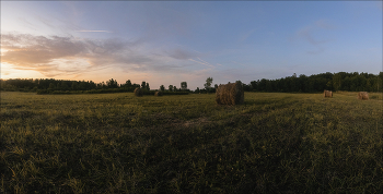 Evening in the field / ***