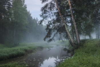 Fog over the river / ***