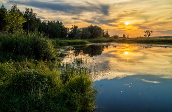 July evening / ***