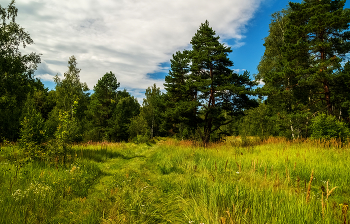 July morning / ***