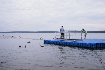 Talents and fans / ***