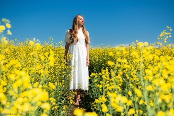 Girl with flowers / ***