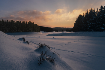 Frosty sunset / ***