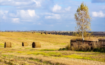 in the fields / ***