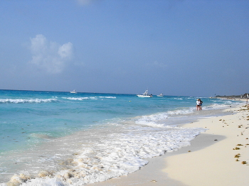 on the shore / ***