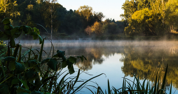 Morning on the lake. / ***