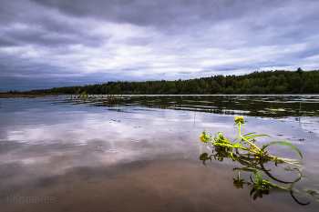 On the lake / ***