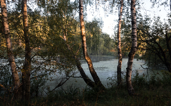 Forest Lake. / ***