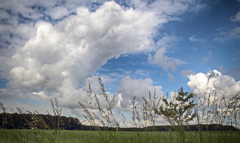 Summer sky / ***