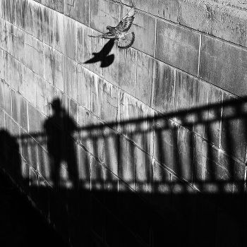 Shadow-boxing / https://photocentra.ru/work/1154891