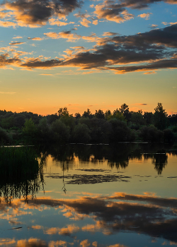 Sunset at the Berezina / ***