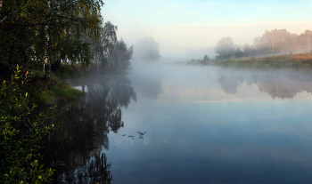 Morning on the lake. / ***