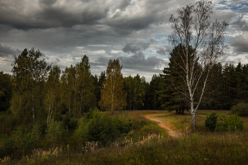 Overcast morning. / ***