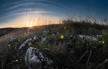 April evening / ***