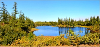 Summer on the Taimyr Peninsula / ***