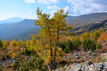 Autumn in the mountains. / ***