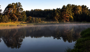 Forest Lake. / ***