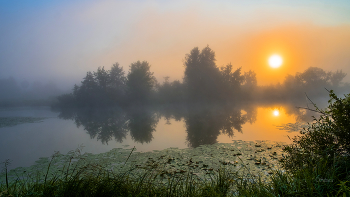 Foggy morning. / ***