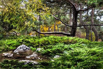 Autumn park / ***