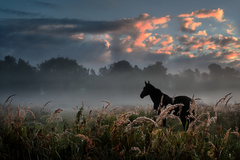 Early in the morning .... / ***