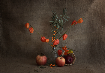 Autumn Still Life. / 17-09-2024.