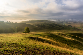 Autumn mists / ***