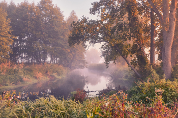 Calm september morning / ***