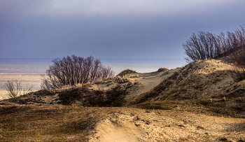 The Curonian Spit / ***