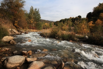 Mountain river / ***