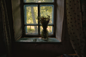 Window / ***