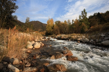 Autumn on the River / ***