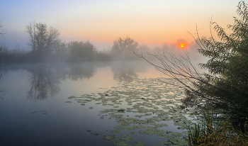 Autumn morning. / ***