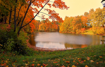 The palette of autumn / ***