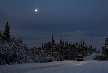 Winter road / ***