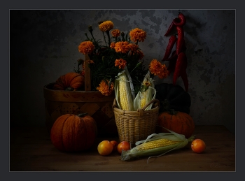 autumn / ***