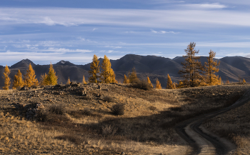 Autumn Altai / ***