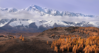 Altai Mountains / ***